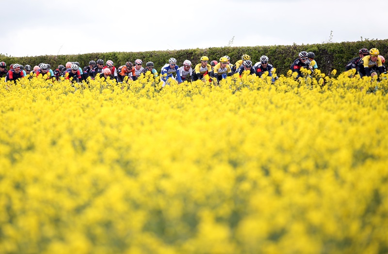 Picture by Alex Whitehead/SWpix.com - 02/05/2015 - Cycling - 2015 Tour de Yorkshire: Stage 2, Selby to York - The Peloton during Stage 2.